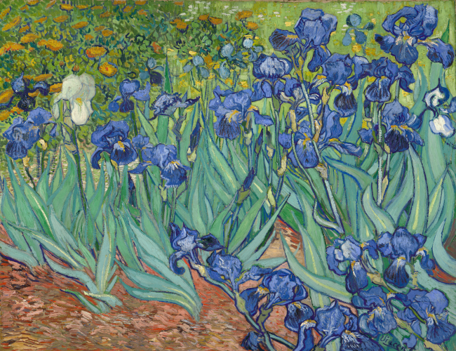 Van Gogh, Les Iris